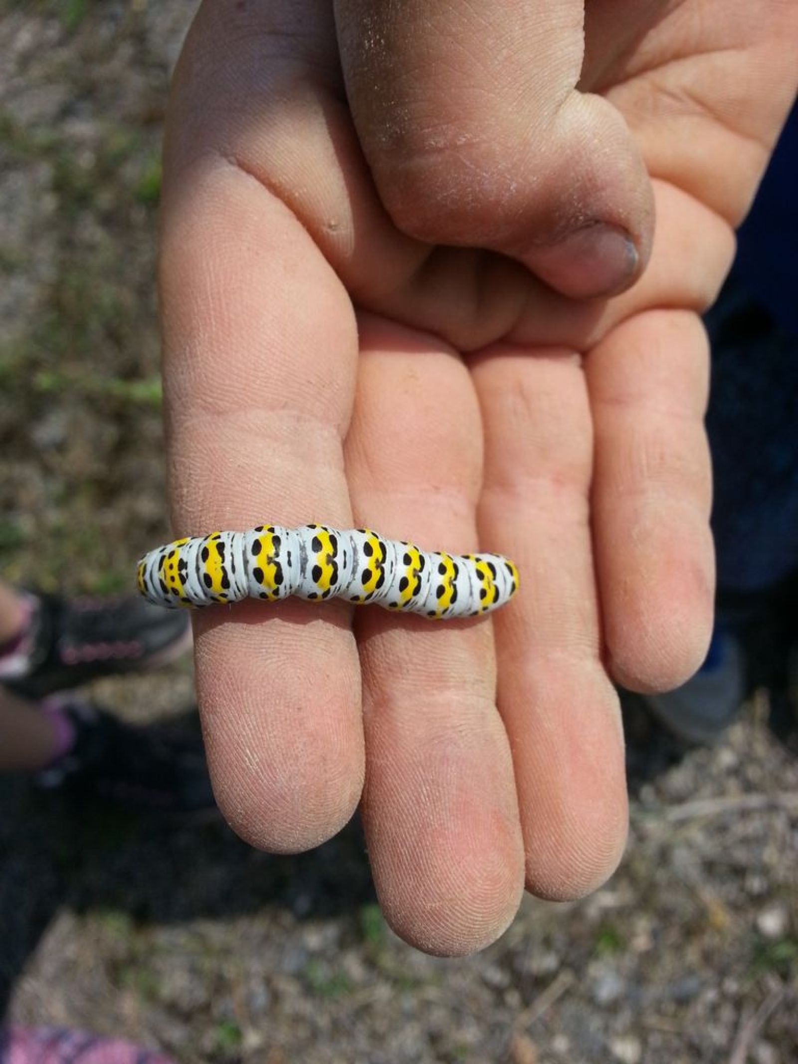 Výlet třídy II. B na Hády