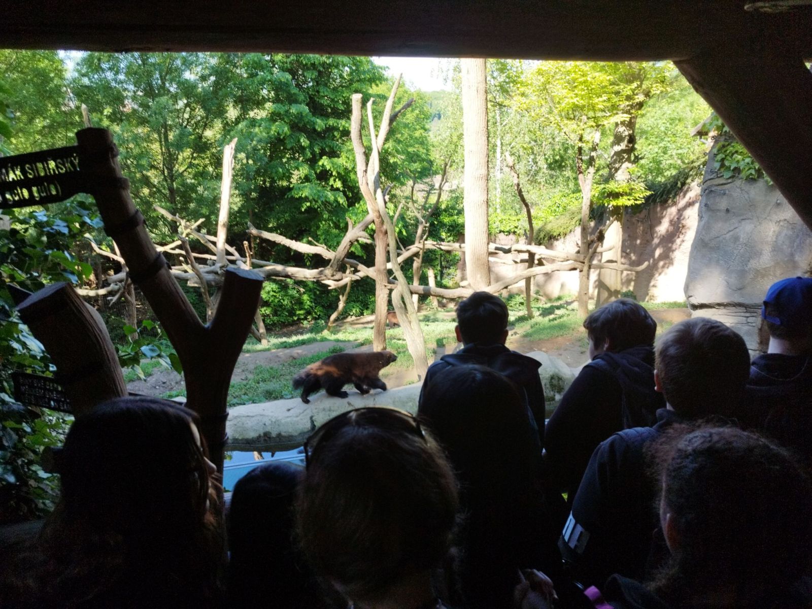 Zoo Brno 7. tř. a 8. A