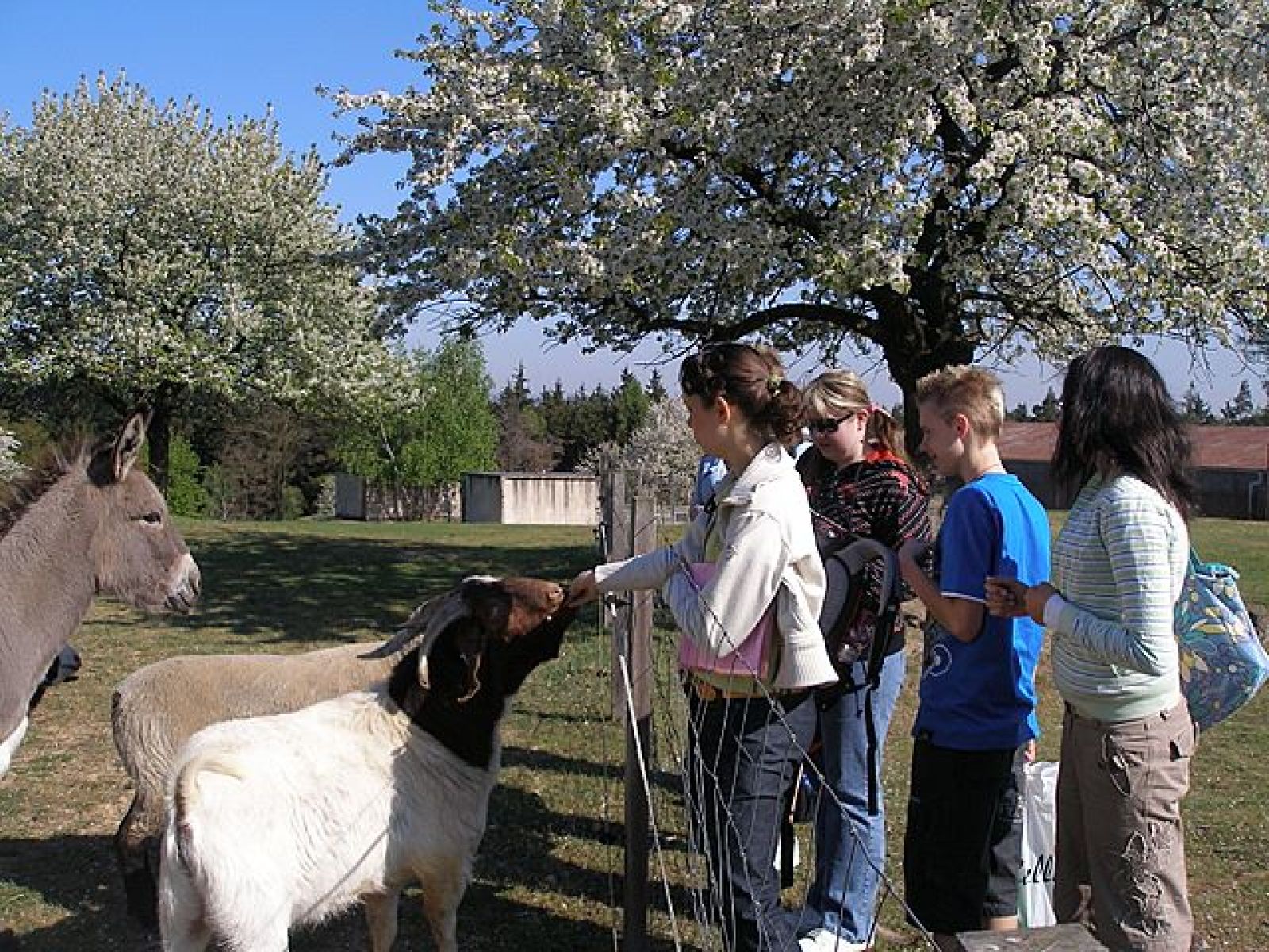 Den Země