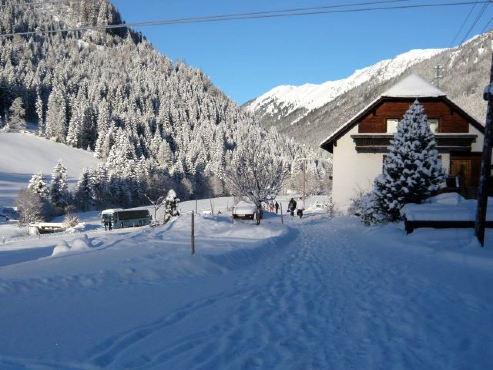Lyžák 2010