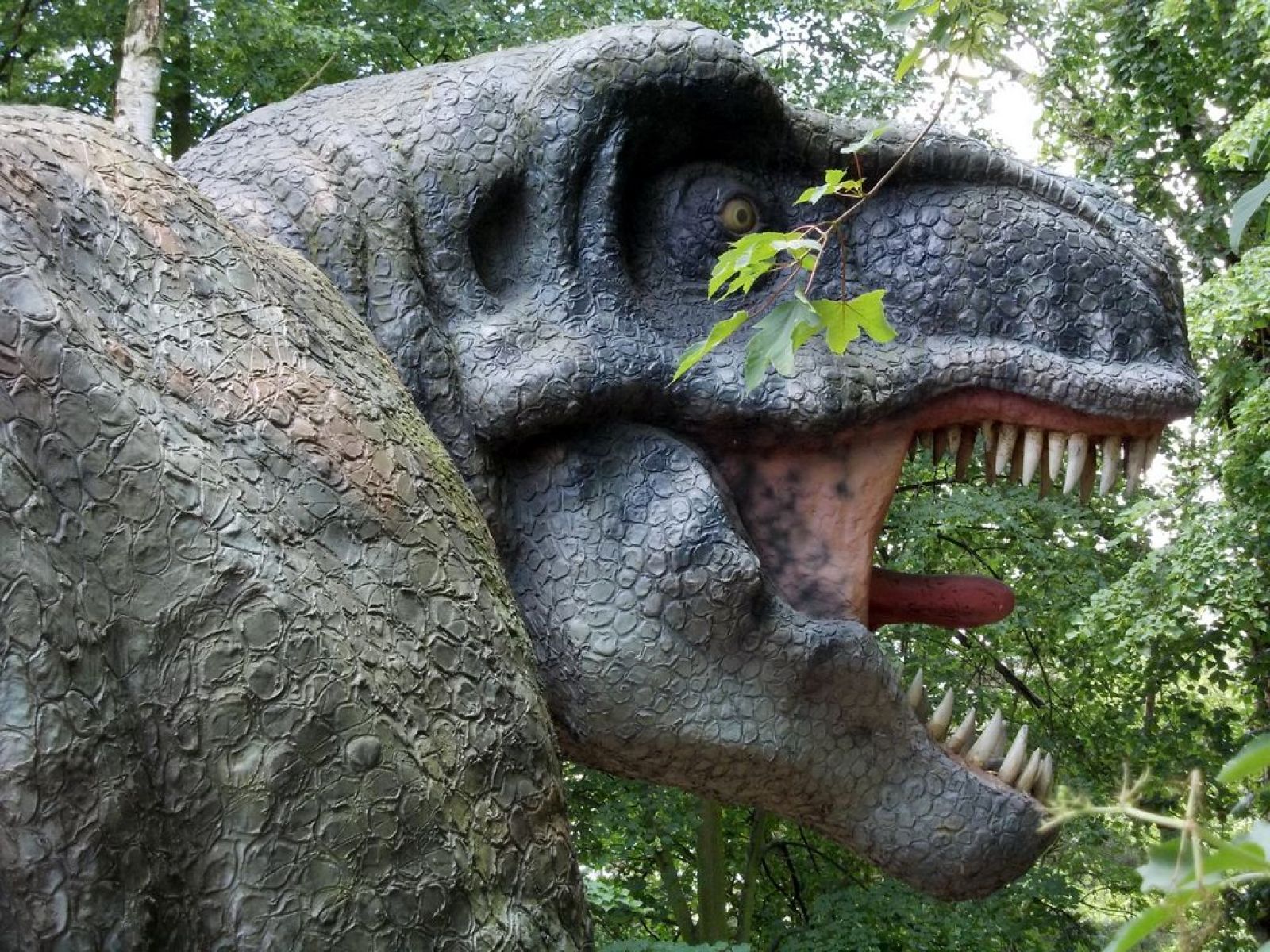 Dinopark 5.tř.