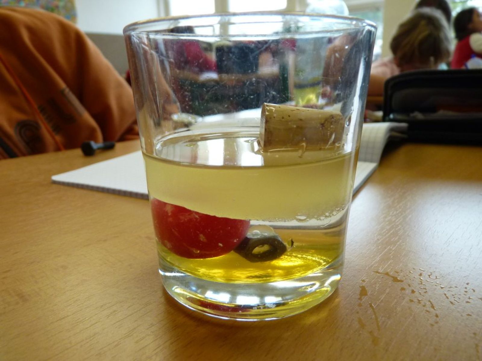 Fyzikální praktikum