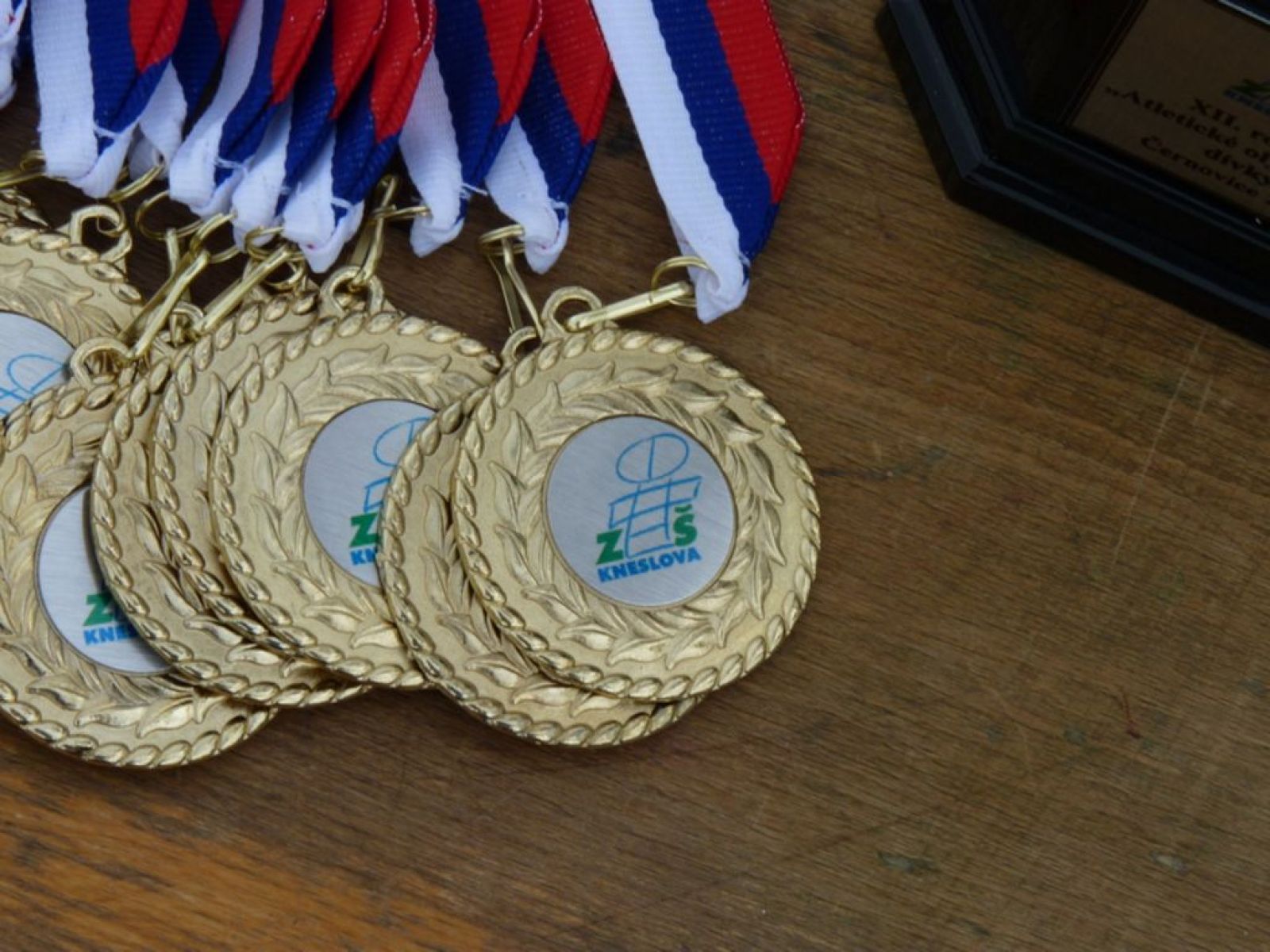 Atletická olympiáda 2013